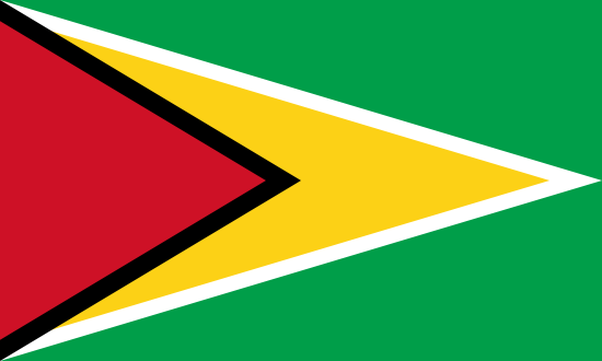 drapeau de la Guyane